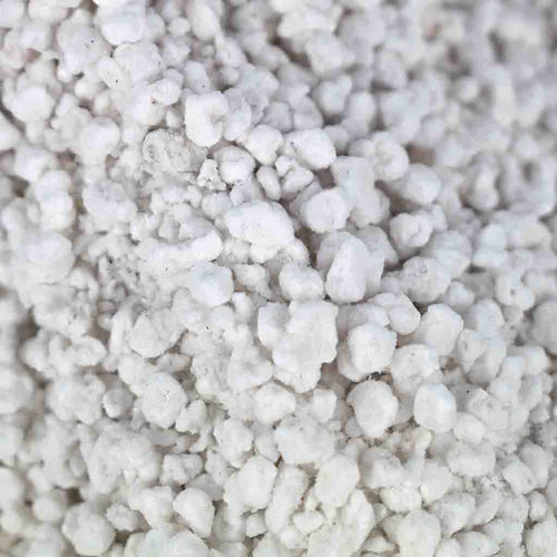 Perlite Close Up