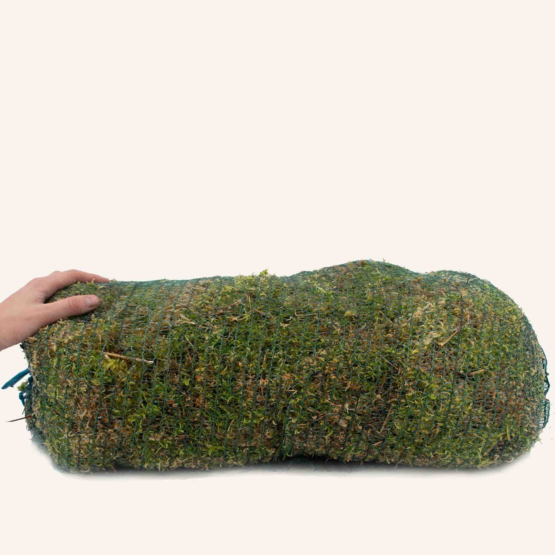 Sphagnum moss, 3L-36L, SYBASoil, Peat moss, Terrarium moss